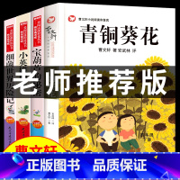 [全4册]青铜葵花+宝葫芦的秘密+小英雄雨来+细菌世界历险记 [正版]青铜葵花曹文轩三年级四五六年级下册小学生课外阅读书