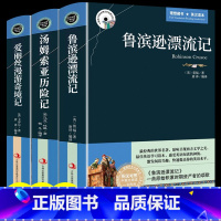 [正版]全3册鲁滨逊漂流记原著书汤姆索历险记爱丽丝漫游奇境记中英文双语读物版英汉对照互译版适合初高中生课外阅读经典小说