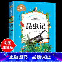 昆虫记 [正版]昆虫记法布尔注音版必读书目 儿童读物小学生课外阅读书籍 一二三年级语文读书 世界经典文学名著故事书带拼音