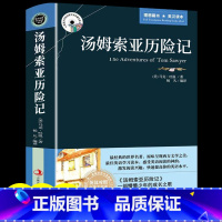 [正版]汤姆索亚历险记原著必读书 中英文双语版英汉对照互译书籍 适合小学生六年级 初中生高中课外阅读经典英文小说英语读