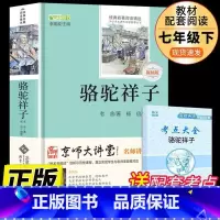 [正版] 骆驼祥子 老舍 小学生初中生名师导读权威点评版世界经典名著 语文丛书 北京师范大学出版 青少年读物