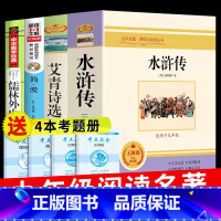 [正版]水浒传艾青诗选简爱儒林外史必读九年级上初中生初三下册课外阅读书籍名著艾青诗集爱青爱情诗选诗歌叶青艾清选集 原著