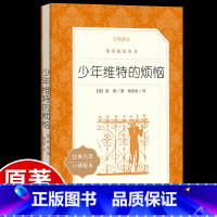 [正版]少年维特的烦恼必读歌德原著 杨武能译 人民文学出版社 统编初中生七八九年级上册下册 的课外书世界经典文学名著完