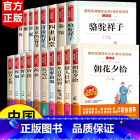 全套18册:鲁迅文学10本+老舍文学8本 [正版]鲁迅经典文学书全套原著 老舍儿童文学作品选 初中生小学生课外书籍非必读