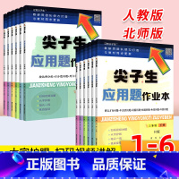 数学[人教版] 六年级下 [正版]尖子生应用题作业本一年级二年级三年级四五六年级下册数学人教版北师大版小学生123456