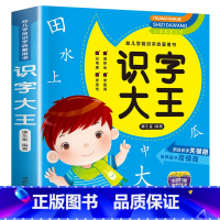 识字大王 [正版]识字大王幼儿学前识字启蒙书3-6岁幼小衔接学前识字书亲子共读幼升小识字大王幼儿阅读与识字学前基础识字全