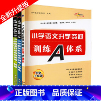 训练A体系(语数英3本) 小学升初中 [正版]小学语文数学升学夺冠训练a体系 小升初知识大集结+训练A体系基础重点知识大