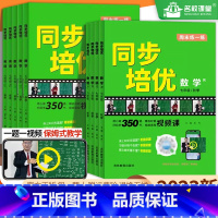 [人教版]数学+英语+物理(3本套装) 九年级/初中三年级 [正版]2023同步培优周末练一练初中数学教学视频教程书几何