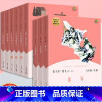 [上下册全套]共9本 [正版]快乐读书吧六年级上册下册全套童年爱的教育小英雄雨来鲁滨逊漂流记爱丽丝漫游奇境全套人民教育出