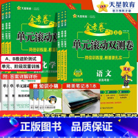 数物化生 4本 新高考 [正版]2024版金考卷单元滚动双测卷一轮复习语文数学英语物理化学生物政治历史地理新高考高三高考