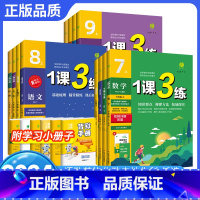 [7本]语数英物化政史-人教版 九年级下 [正版]2024一课三练七年级上八九年级上册下 册语文数学英语物理生物化学政治