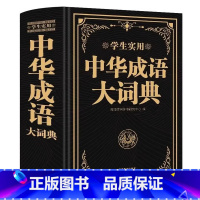 小学生有声大字典(彩图版) [正版]小学生实用英汉双解大词典缩印版小学初中高中生实用高考大学汉英互译英语词典词汇语法牛津