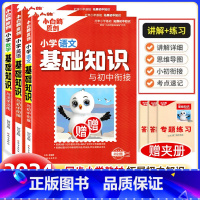 [全3册]语文+数学+英语 小学升初中 [正版]万唯小学基础知识手册大全语文数学英语四五六年级人教万维小白欧小白鸽小升初