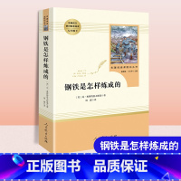 钢铁是怎样练成的 [正版]傅雷家书文化发展社钢铁是怎样炼成的人民教育出版社初中生八年级必读课外书籍阅读文学经典世界名著书