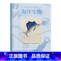 单本全册 [正版]浪花朵朵 我的手绘博物馆 海洋生物 7岁以上科普百科海洋自然生物博物画科学插画书籍 童书