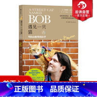 [正版] 遇见一只猫 与Bob相伴的日子 流浪猫鲍勃 詹姆斯波文著 动物情感故事 人生成长励志普及读物