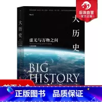 [正版] 大历史虚无与万物之间全彩插图版 Global History 通识参考参考书籍普及读物