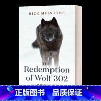 黄石公园的狼系列3 [正版]英文原版 Fourteen Wolves 黄石公园的十四只狼 Jenni Desmond 插