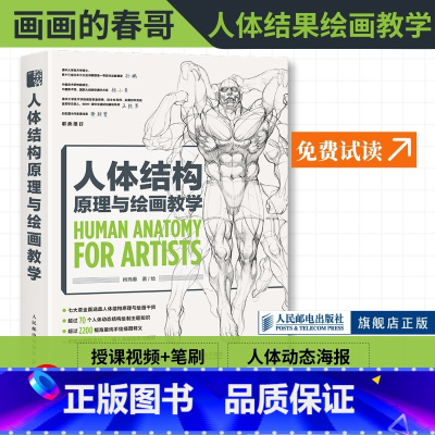 [正版]人体结构原理与绘画教学 画画的春哥动漫绘画教程书游戏动漫人体结构造型手绘技法结构原理与漫画教程书插画教程