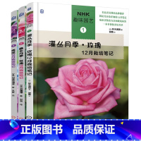 [正版]套装 NHK趣味园艺丛书 全套3本 灌丛月季玫瑰12月栽培笔记+藤本月季玫瑰12月栽培笔记+绣球12月栽培笔