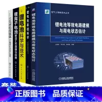 [正版]锂电池基础科学+锂电池科学与技术+锂电池原理与制造工艺+锂电池基础科学三元材料前驱体+产线设计及生产应用理论