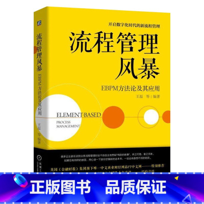 [正版]流程管理风暴 EBPM方法论及其应用 管理体系理论方法书 企业内部管理书籍 企业管理业务流程知识 数字化时代新