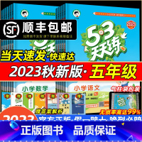 [3本全套]语数英·人教版 五年级上 [正版]2023秋新版53天天练五年级语文数学英语人教版533天天练RJ湘少译林精