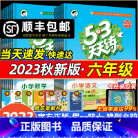 [3本全套]语数英·人教版 六年级上 [正版]2023秋新版53天天练六年级语文数学英语人教版533天天练35湘少译林精