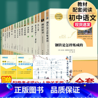 全套17本]八年级下4册+九年级上下13册必读 [正版]钢铁是怎样炼成的经典常谈名人传给青年的十二封信苏菲平凡的世界原著