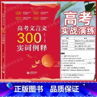 高考文言文300实词例释 高中通用 [正版]2023年版高考文言文300实词例释 上海教育出版社 高中虚实词通假字 全国