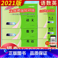 2021高考一模卷(语数英+答案)(6本) 上海 [正版] 2021年版 上海高考一模卷 语文+数学+英语 试卷