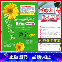 2023版 中考总突破 数学 九年级/初中三年级 [正版]2023版灿烂在六月 上海市新中考总突破 语文数学英语物理化学