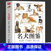 [正版]名犬图鉴 宠物犬特征与习性大全 宠物犬科普知识百科全书 宠物狗喂养常识饮食护理 爱犬人士应用手册 家庭亲子科普