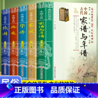 [正版]全新 5册中国古代家谱与年谱 家风 华侨 外交 旅游中国传统民俗文化书籍 中国古代家风书 历史类书籍