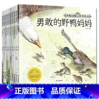 [正版]全套10册彩绘西顿动物记科普绘本 勇敢的野鸭妈妈令人敬佩的信鸽 沈石溪动物小说动物儿童文学书籍小说