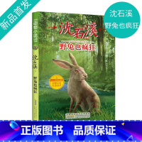 《野兔也疯狂》 [正版]野兔也疯狂 沈石溪 ZS中国动物小说品藏书系