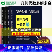 初中几何+初中代数(套装) [正版]图变量变式变题根不变 初中几何代数一题多变+一题多解 巧解妙解化繁为简4本套装 初中