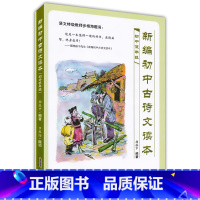 [正版] 新编初中古诗文读本 初中低年级用 杨振中编著 安徽文艺出版社 古文200篇 古诗100首成语200条 初