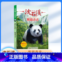 《熊猫青青》 [正版]熊猫青青 沈石溪 ZS中国动物小说品藏书系