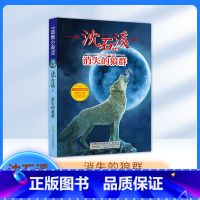 《消失的狼群》 [正版]消失的狼群 沈石溪 ZS中国动物小说品藏书系