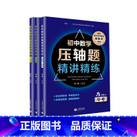 [7~9年级共3册]初中数学压轴题精讲精练 初中通用 [正版]初中中考数学压轴题精讲精练突破阅读探究新定初中数学压轴题7