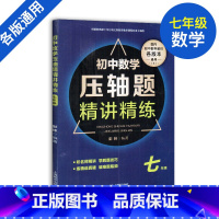 [正版]初中数学压轴题精讲精练 七年级7年级全一册 初一数学压轴题难题解题思路技巧专项训练 全国通用 上海教育出版社