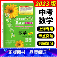 数学 上海 [正版]灿烂在六月 上海市新中考总突破数学 双色版 上海九年级新中考第一轮第二轮数学总复习冲刺用书 中西书局