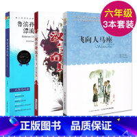 [正版]鲁滨孙漂流记 飞向人马座 汉字奇兵 六年级6年级 原著套装全3册 长江少年儿童出版社小学生版书籍阅读名著