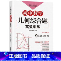 [正版]周计划 初中数学几何综合题高效训练 9年级+中考 含答案详解 初三九年级数学真题专项训练题型解析提升数学解题能