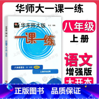 语文(增强版) 八年级上 [正版]华东师大版一课一练 语文 八年级上册8第一学期语文增强版 上海沪教版初二同步课后训练习