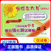 灿烂在六月 中考模拟卷 语文试卷 上海 [正版]2023版 灿烂在六月 中考语文模拟卷 上海市新中考模拟强化测试精编 上