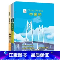 中国铁道科普 3册 [正版]全3册给中国孩子的火车知识绘本 中国桥中国高铁动车的故事青少年故事书籍6-9-12周岁儿童科