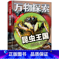 [DK品质]昆虫百科 [正版]昆虫百科全书大百科全套儿童科普书籍中国青少年儿童读物知识大全6-8-10-12-14岁小学