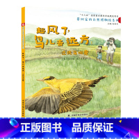 [正版]孙俪微博起风了鸟儿去远方迁徙鸟观察绘本 3-6岁「自然·动物·环保/中国原创」带回家的自然博物馆精装儿童书